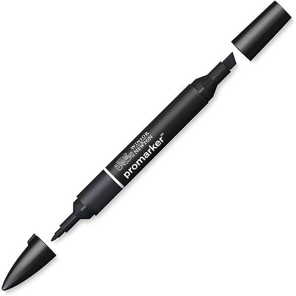 Winsor & Newton " ProMarker " 0203030 - Professioneller Layoutmarker - 2 Spitzen, fein & breit für Zeichnungen, Design & Layouts - Schwarz, 1 Stück (1er Pack) - 1