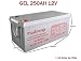 Produktbild wccsolar.es Akku AGM Y Gel 12V plusenergie 150AH 250AH - Grau, Gel 250AH 12V