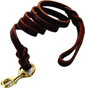 Skora Braided Leather Strap Leash 6ft Walking Training Leads for German Shepherd Dog (Brown, 6 cm)