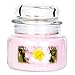 Produktbild Village Candle Duftkerze mit gratis Auto-Lufterfrischer 11x10 cm 701 g Wildrose