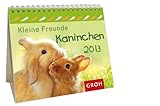 Kleine Freunde - Kaninchen 2013 by