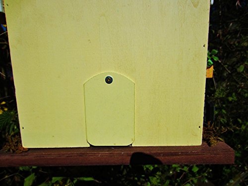 Hüwüknü Vogelhaus Coffee Shop - 8