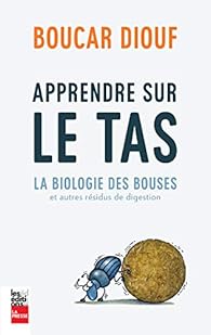 Apprendre sur le tas par Boucar Diouf