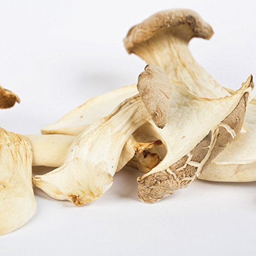 Preisvergleich Produktbild Kräuterseitling getrocknet Bio 500g