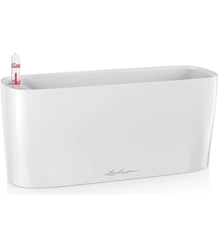 Lechuza Cube Color 16, sandbraun, All in One Set, 17 cm x 17 cm, H:16 cm