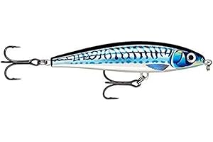 RAPALA X-Rap mag 10CM Prey