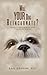 Will YOUR Dog Reincarnate?: Includes an 8-week program you can use to help your dog reincarnate (English Edition) by Gail Graham