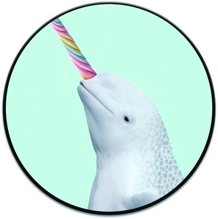 Customizable Pop Grip Socket, Prevent Phones from Dropping,Expanding Stand Grip for iPhone,Smartphones and Tablets - Sea Unicorn Black