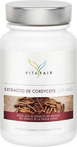 Extracto de Cordyceps Sinensis (CS-4) - 500mg por Porción - 90 Cápsulas - 40% Polisacáridos - Vegano - Máxima Biodisponibilidad - Hecho en Alemania
