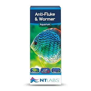 NT LABS Anti-Fluke and Wormer Aquarium Treatment (20ml)