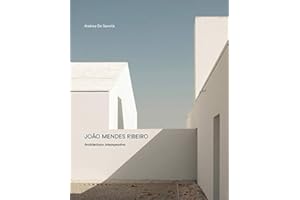 João Mendes Ribeiro. Architettura intempestiva (Mosaico)