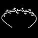 Flower Girl Rhinestone Headband Hair Charm