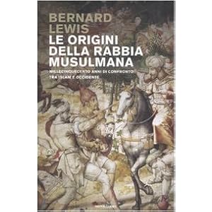 Le origini della rabbia musulmana. Millecinquecento anni di confronto fra Islam e Occidente