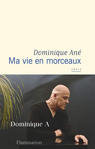 Télécharger Ma vie en morceaux Livre eBook France