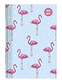 Image de Collegetimer Flamingo 2018/2019 - Schülerkalender A5 - Day By Day - 352 Seiten