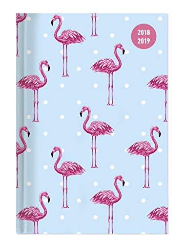 Collegetimer Flamingo 2018/2019 - Schülerkalender A5 - Day By Day - 352 Seiten