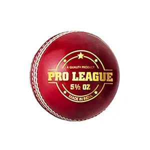 DSC Pro League Cricket Leather Ball (Red)
