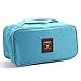 Imported Portable Underwear Bra Cosmetic Travel Storage Bag Sky Blue RS.315.00
