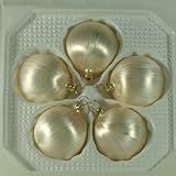 Bolas eislack Champán 5 unidades D 6 cm árbol de Navidad árbol de Navidad. soplado Lauscha el original