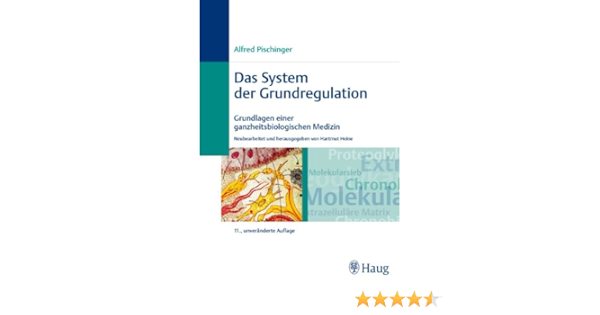 Amazon Fr Das System Der Grundregulation Grundlagen Einer Ganzheitsbiologischen Medizin Pischinger Alfred Heine Hartmut Bergsmann Otto Perger Felix Heine Hartmut Livres