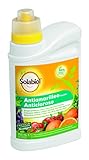 Acción preventiva y curativa Solabiol - Antiamarilleo liquido 100% organico para Flores, hortalizas y frutales. 750 ML
