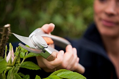 Fiskars Bypass-Gartenschere für frische Äste und Zweige, Antihaftbeschichtet, Hochwertige Stahl-Klingen, Länge 21,5 cm, Silber/Orange, Quantum, P100, 1001434 - 5