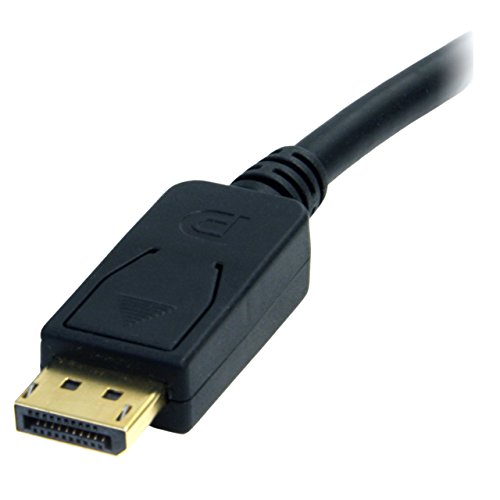StarTech.com 1,8m DisplayPort auf DVI Kabel – Stecker/Stecker – DP zu DVI Adapter/ Koverter – 1920×1200 / 1080p – Schwarz - 3
