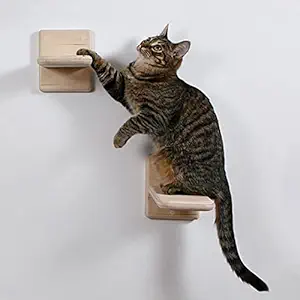 2 PCS Cat Wall Shelves,Wood Cat Wall Steps Cat Climber - Cat Wall Climbing Ladder, Wall Mount Cat Climbing Shelves, Cat Perch for Wall, Cat Hammock Bed, Indoor Cat Wall Furniture (2 PCS)