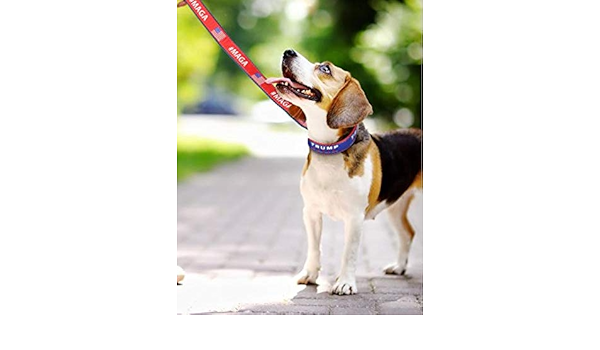 maga dog collar