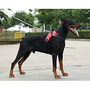Pet Guard Dog Body Adjustable Harness for Vest/Comfortable Harness/Padded Harness with Handle and Hook (Large, Pink)