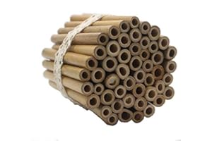 Super Idee 50 tubi di bambù da costruire da soli 10 cm, riutilizzabili, in bambù per casetta di insetti, hotel delle api selvatiche, casa delle api selvatiche