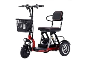 XUANDABAIHUO Mobilitätsroller mit 3 Rädern, zusammenklappbarer Mobilitätsroller, Leichter Reise-Mobilitätsroller mit Ladegerät und Korb für Senioren, Erwachsene, behinderte ältere Menschen