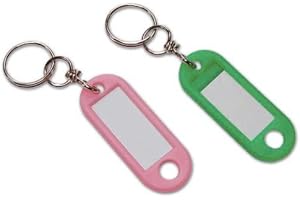 FIICO Targhette Portachiavi in Pvc Colori Assortiti con Givolare e Anello Cf 200Pz