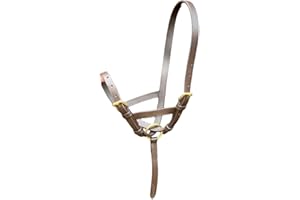 EQUIPRIDE Horse Leather Foal Slip Headcollar with Solid Brass Fitting S-M-L Black Brown (Brown, Medium)