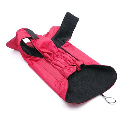 ThinkPet-Outdoor-Waterproof-Reflective-Dog-Winter-Jacket-Dog-Rain-Coats-Fleece-Dog-Sweater