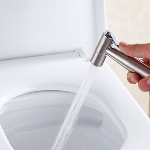 CIENCIA Bidet-Handbrause für Toilette Sprayer Premium Edelstahl Sprüher Shattaf Komplett Bidet Set für WC(WS024S) - 4