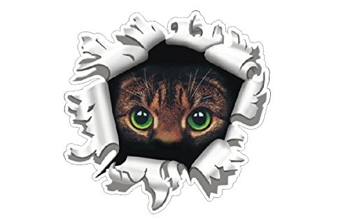 Preisvergleich Produktbild 2x Katze Cat im Einschussloch Autocollants Aufkleber Sticker Pegatinas digital Druck Racing Tuning Auto Car Bike Motorrad JDM Dub Laptop Notebook