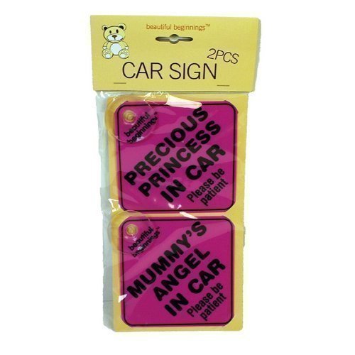 BEAUTIFUL BEGINNINGS Assorted Girls Car Signs (2 pk)
