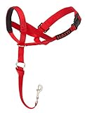 Halti Licol Educatif Anti-Traction Dressage pour Chien Taille 3 Rouge