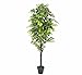 Produktbild PASAMO 06835 Feigenbaum, Echtholzstamm, Kunstpflanze 195cm