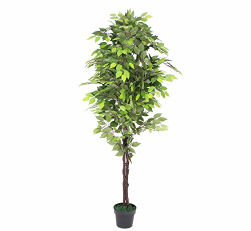Preisvergleich Produktbild PASAMO 06835 Feigenbaum, Echtholzstamm, Kunstpflanze 195cm