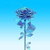 baufahrzeuge kinder set cars toys autorampe spielzeug baden porsche spielzeug kleine auto kinder paw patrol rocky mit fahrzeug spielautos für babys hot wheels batman lenkrad auto kinder hot wheels autos spielzeug fahrzeuge lego car feuerwehrauto für kinder matchbox porsche modelautos autos spiele volkswagen accessoires kinder lenkrad für auto elektrische auto kinder fire truck toy cars sally paw patrol spielzeug figuren carrera kinder auto oldtimer polizeiauto