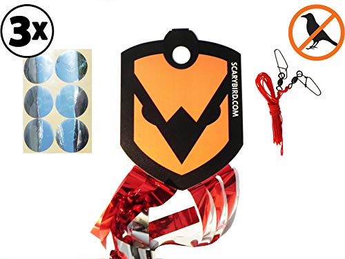 SCARYBIRD Cara, Lote de 3