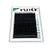 Noir Volume Lashes 0.10mm Professional Mink Individual Eyelash Extension Tray C Curl Mixed Lengths Single Lengths Volume eyelashes / Russian Lashes Extension 3D XD (0.10 C 12mm)