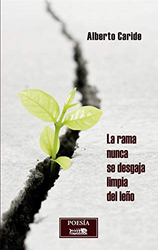 La rama nunca se desgaja limpia del leño