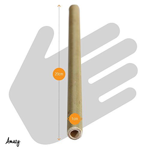 Amazy Bambus Trinkhalm (12er Set) – Die exotische und wiederverwendbare Alternative zum gewöhnlichen Strohhalm - 4