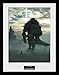 Produktbild 1art1 112933 Shadow Of The Colossus - Key Art Gerahmtes Poster Für Fans Und Sammler 40 x 30 cm