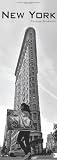 New York Vertical 2013 by 