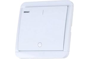 DWS-10T Funk-Wandsender mit 5-fach Timer 1-Kanal Count-Down-Timer DIW-Funk