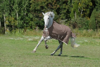 Preisvergleich Produktbild Bucas Euroriding Turnout LIGHT - mocca (125 cm)